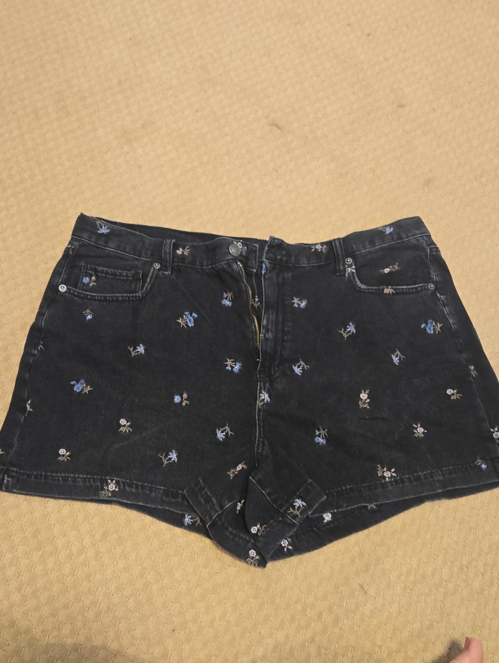American Eagle Outfitters Black Denim Shorts with Blue & White Floral Embroidery